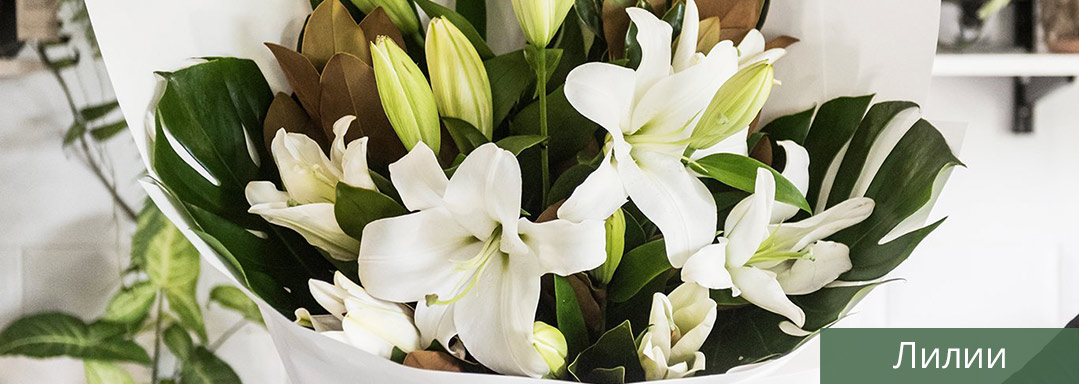 Лилии