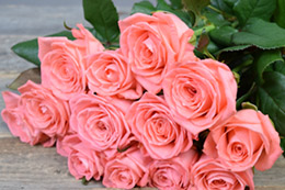 Розовые розы